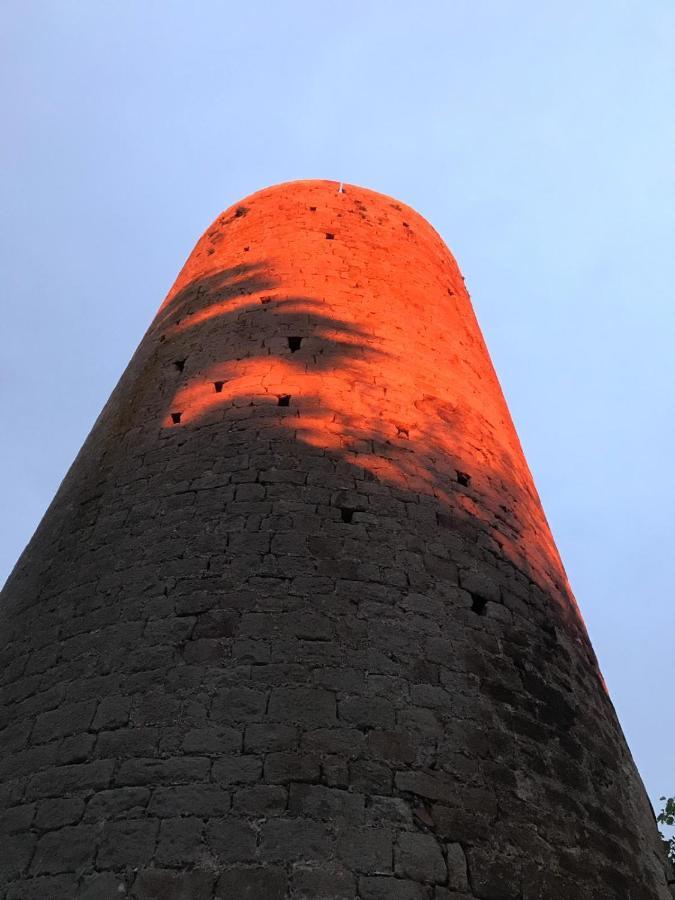 Can zoilo Pals Buitenkant foto